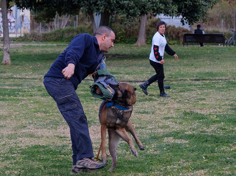 3053-mujer-2018 Día de la Mujer 2018