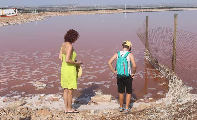 Las visitas turísticas a las salinas, más cerca