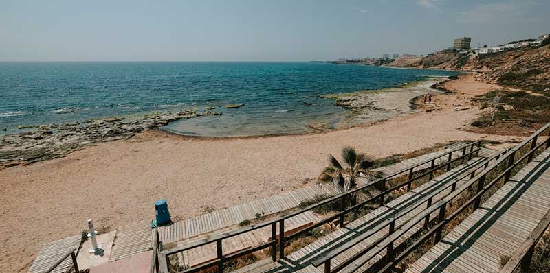 Torrevieja contará con dos playas para animales antes del verano