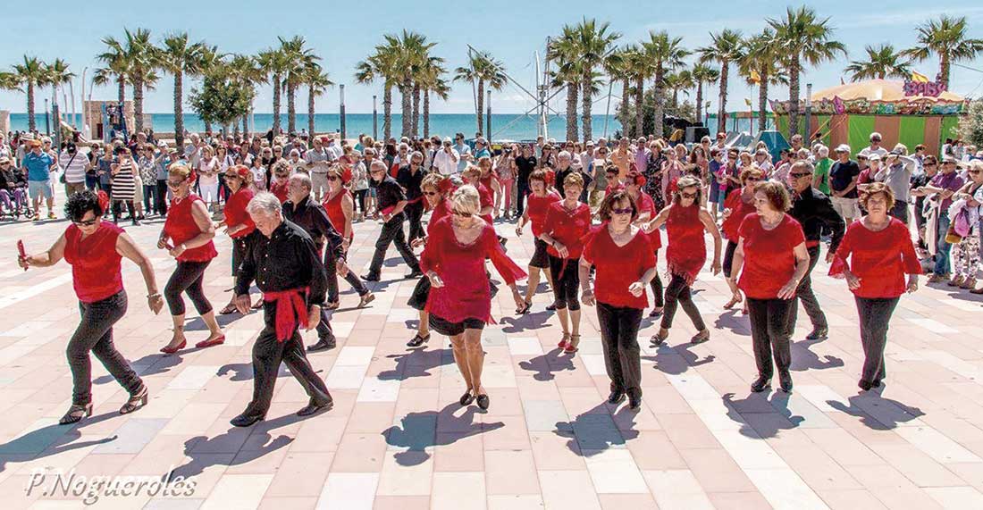 El Ayuntamiento de Torrevieja y la PIM se unen  para promover la castración de gatos