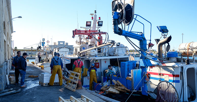 Los pescadores de Torrevieja no tendrán que trasladarse al Dique de Poniente