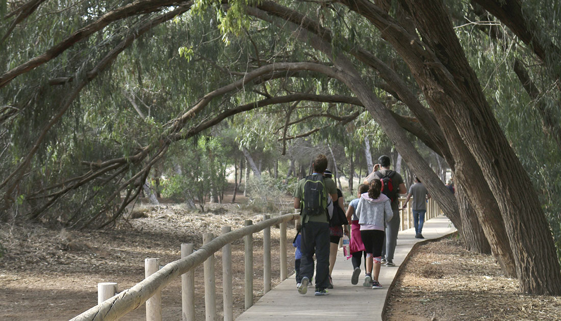 Junio Medioambiental: Concienciar para cuidar nuestro entorno