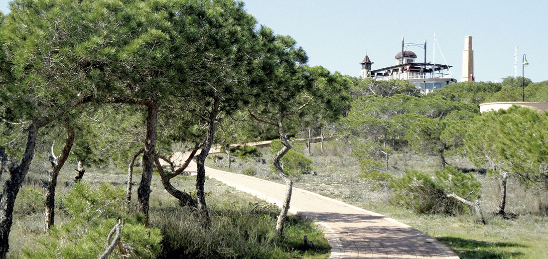 Una ciudad consciente