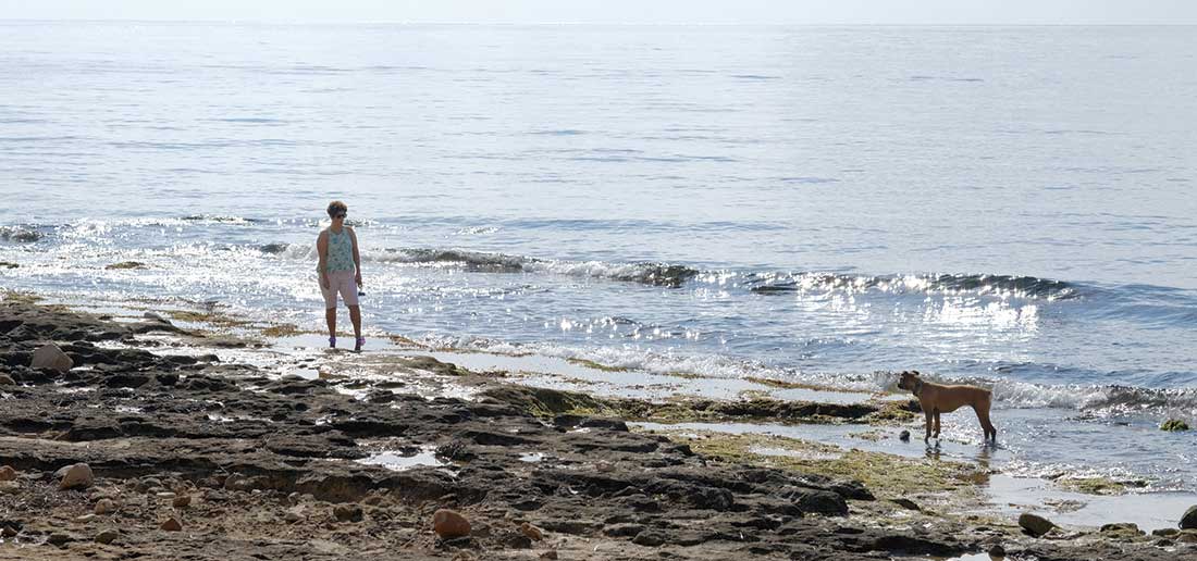 ‘Punta Margalla’ y la ‘Cala del Mal Paso’, abiertas para perros