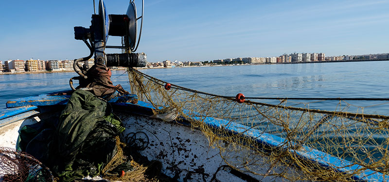 La pesca del salmonete, nueva actividad de pescaturismo en Torrevieja