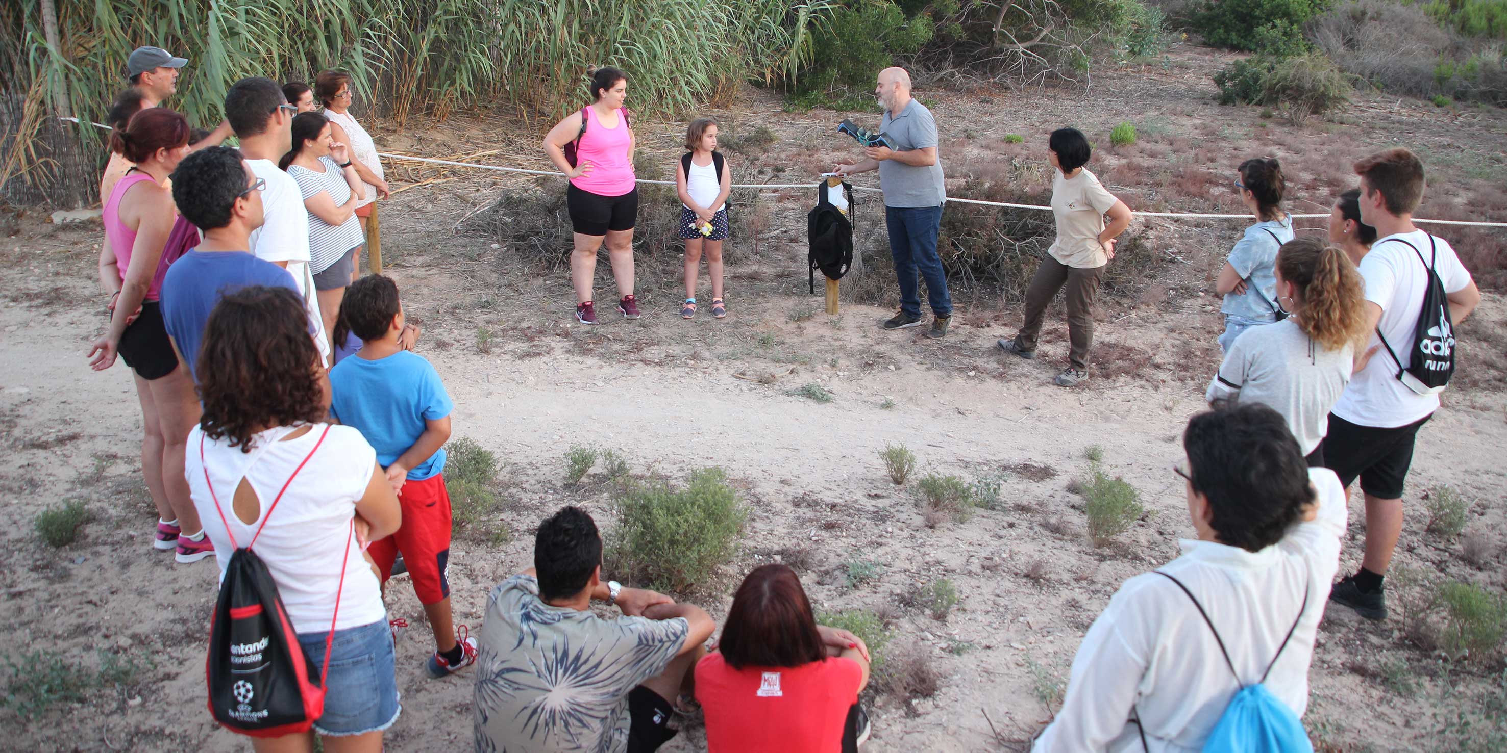 Desmontando mitos sobre los murciélagos
