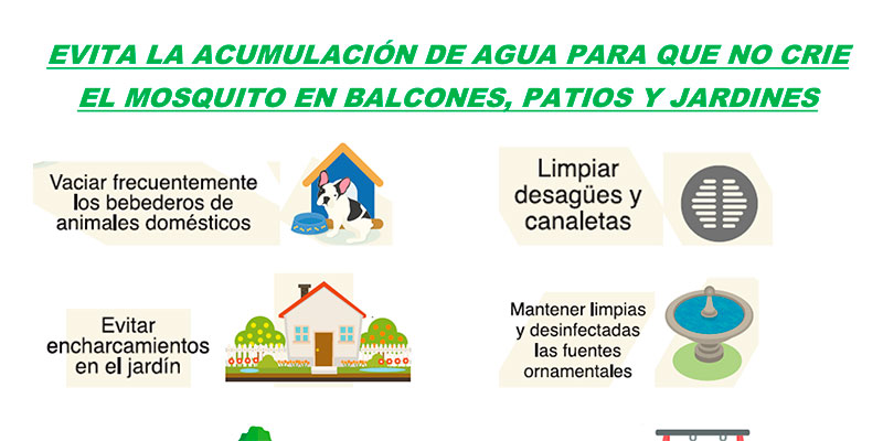 3129-mosquitos El Gobierno intensifica los equipos de trabajo para atajar la actual plaga de mosquitos