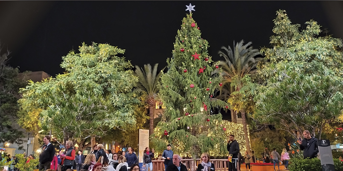 Torrevieja luce la navidad