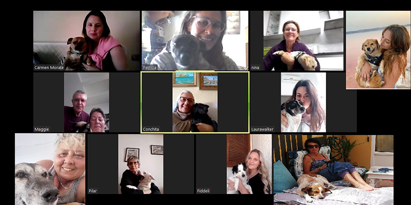 Nace oficialmente la Asociación de Voluntarios de los Animales de Torrevieja