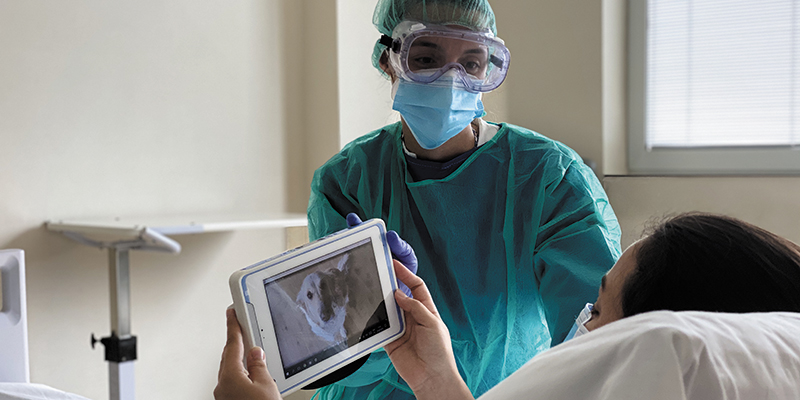 Vinalopó y Torrevieja facilitan las visitas virtuales de mascotas a pacientes ingresados aislados por Covid-19