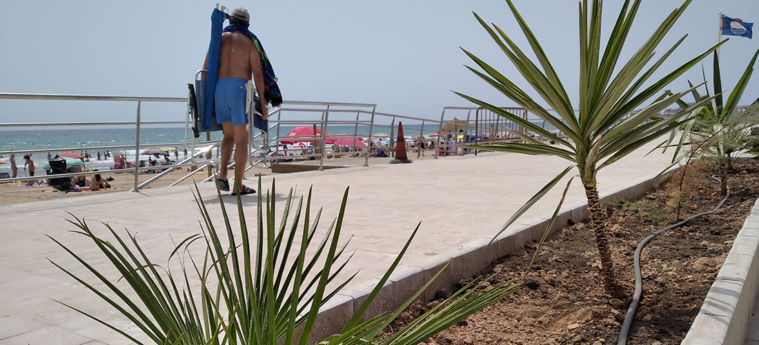 El paseo de la Avenida de Los Españoles de La Mata estrena vegetación