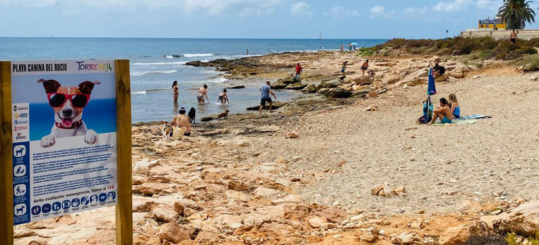 La nueva zona de baño de perros cada vez más utilizada