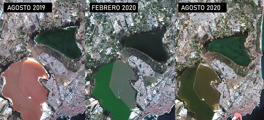 La laguna de Torrevieja va recuperando  su característico color rosa