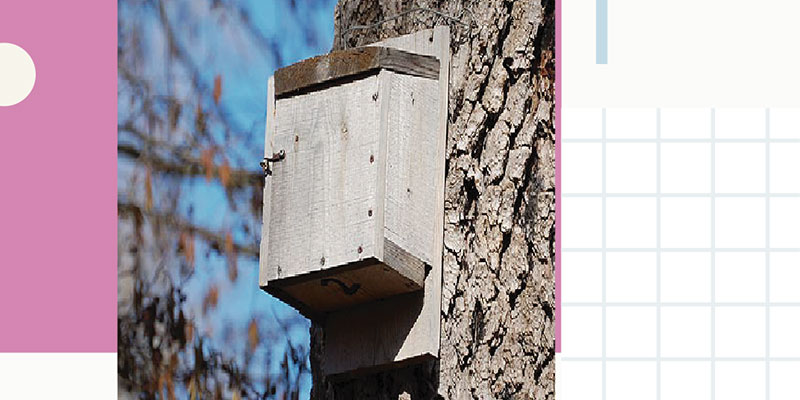 Establecimiento de puntos de biodiversidad en estaciones de bombeo del ciclo integral del agua de Torrevieja