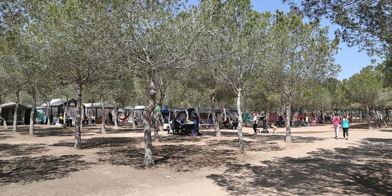 Usos permitidos en las instalaciones recreativas de Torrevieja