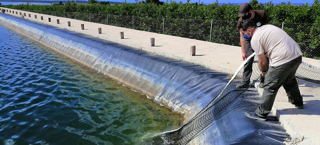 Actuaciones que salvan vidas