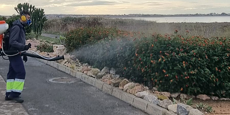 El Ayuntamiento realiza labores de fumigación para el control del mosquito