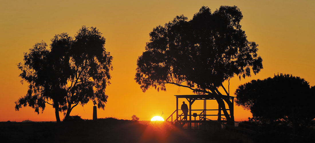 Datos registrados del 6 al 12 de diciembre