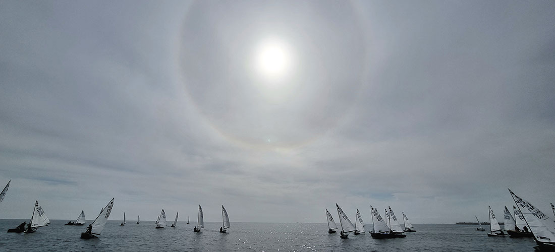 Datos registrados del 7 al 13 de febrero