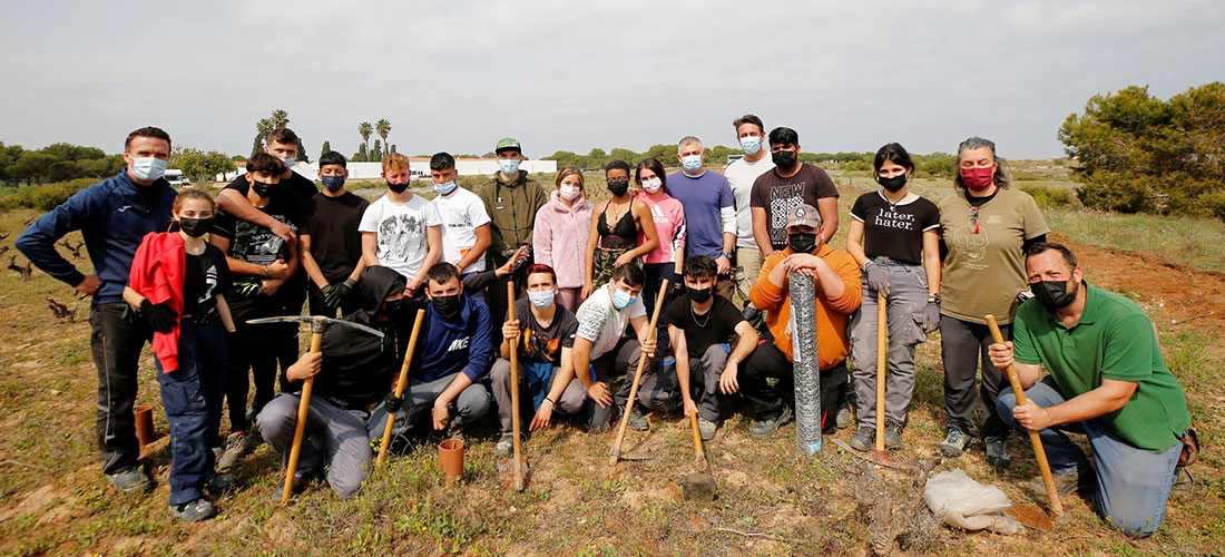 Proyecto de recuperación patrimonial de las viñas en la mata