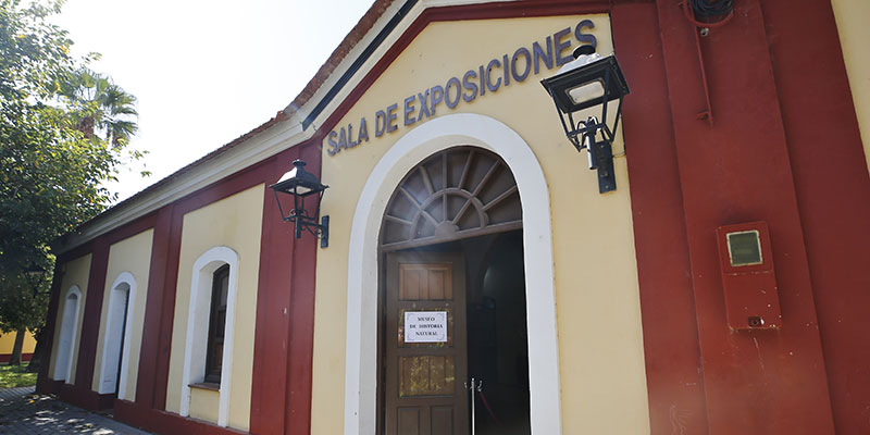 El Gobierno Municipal acuerda la reapertura del Museo de Historia Natural