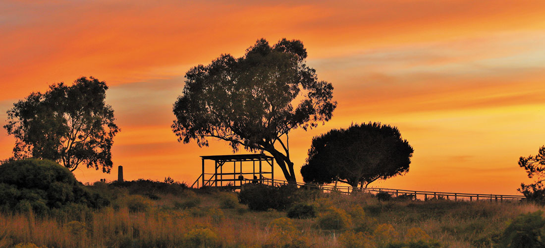 Datos registrados del 30 de mayo al 5 de junio