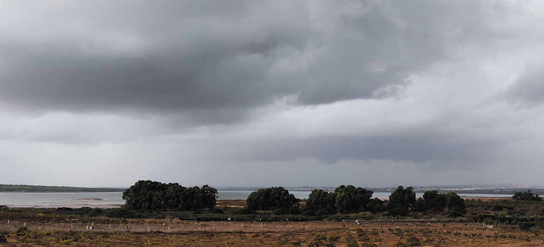 Datos registrados del 19 al 25 de septiembre