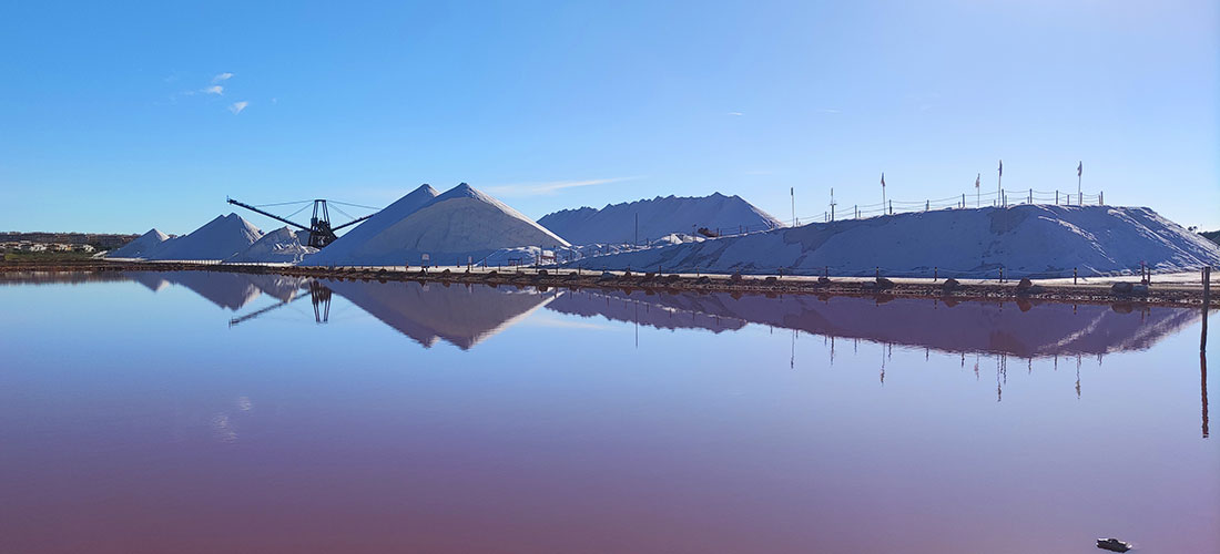 Datos registrados del 21 al 27 de noviembre