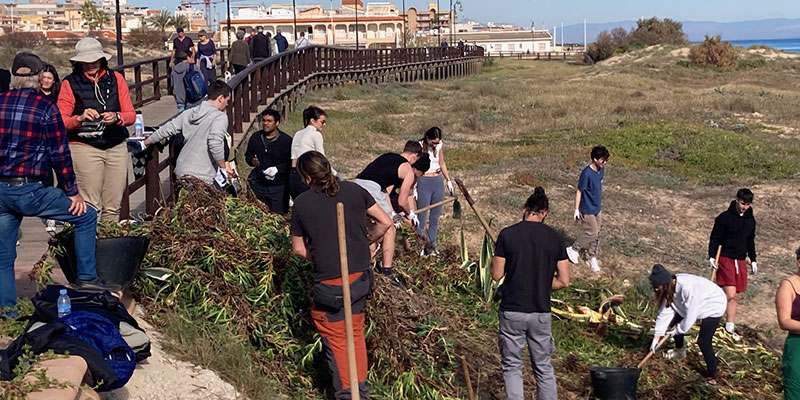 VA3297-parque_del_molino Importantes avances en la recuperación del Paraje Natural Municipal ‘Molino del Agua’