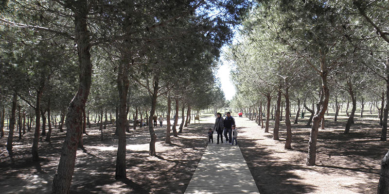 Abierto el plazo de solicitudes para acampar en Semana Santa en el Área Recreativa Municipal ‘José Eduardo Gil Rebollo’