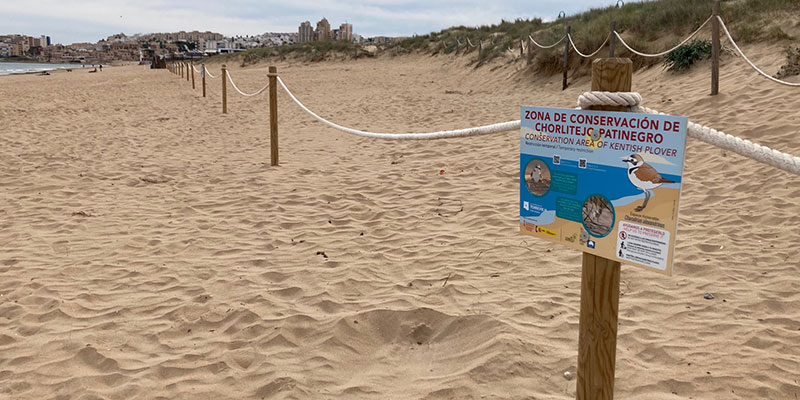 La Concejalía instala un nuevo balizado para salvaguardar la nidificación del chorlitejo patinegro en la playa de La Mata
