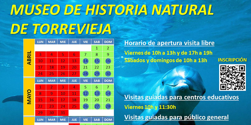 Se reabre el Museo de Historia Natural para visitas por libre o guiadas en español e inglés