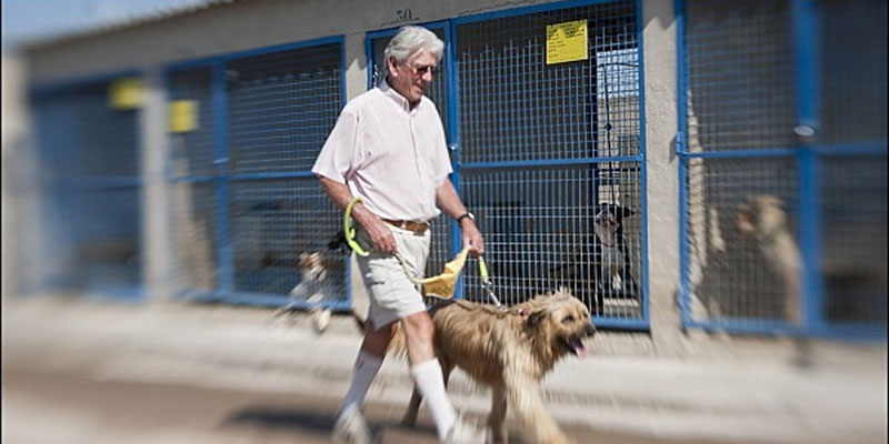 La Junta de Gobierno local aprueba la licitación de las obras de construcción del nuevo albergue Municipal de Animales