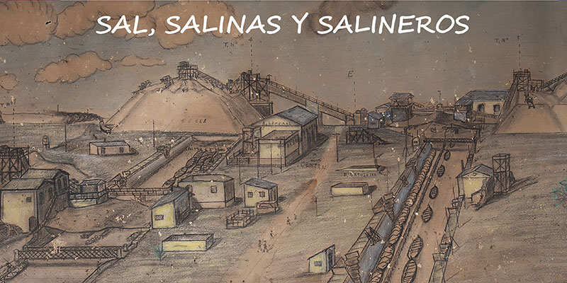 Ars Creatio organiza las VI Jornadas ‘Lagunas de Torrevieja y La Mata: paisaje cultural, historia y patrimonio’