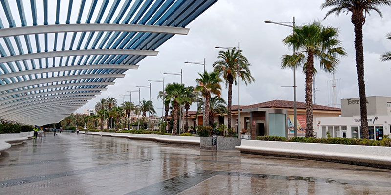 Datos registrados del 29 de mayo al 4 de junio