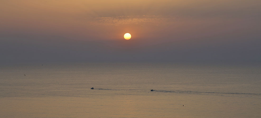 Datos registrados del 12 al 18 de junio