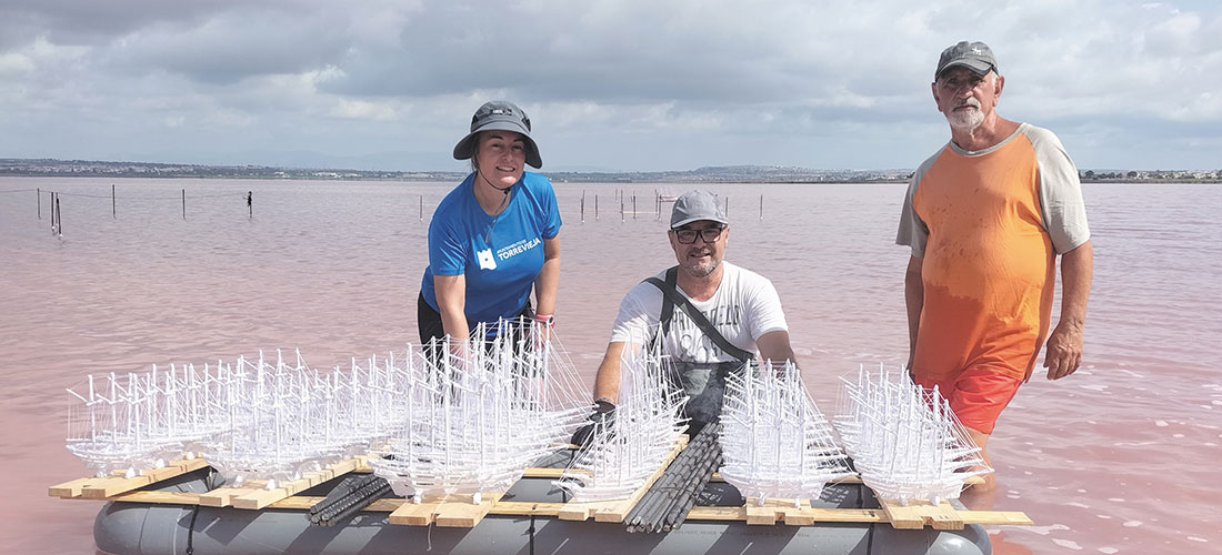 Artesanía salinera, cuaje 2023: primer baño en sal