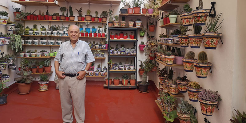 José Luis Pelluz abre su casa para admirar su gran colección de cactus