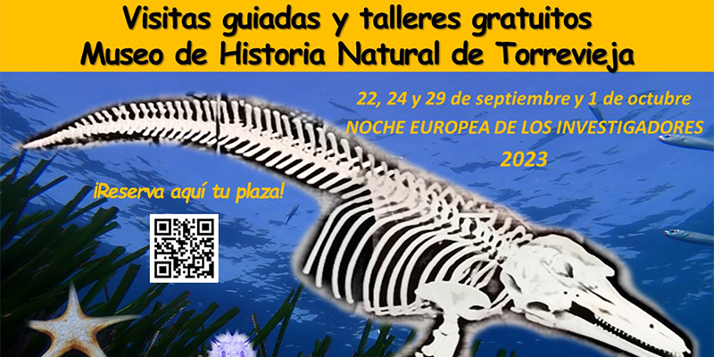 3331-MUSEO Visitas guiadas y talleres en el Museo de Historia Natural con motivo de la Noche Europea de los Investigadores