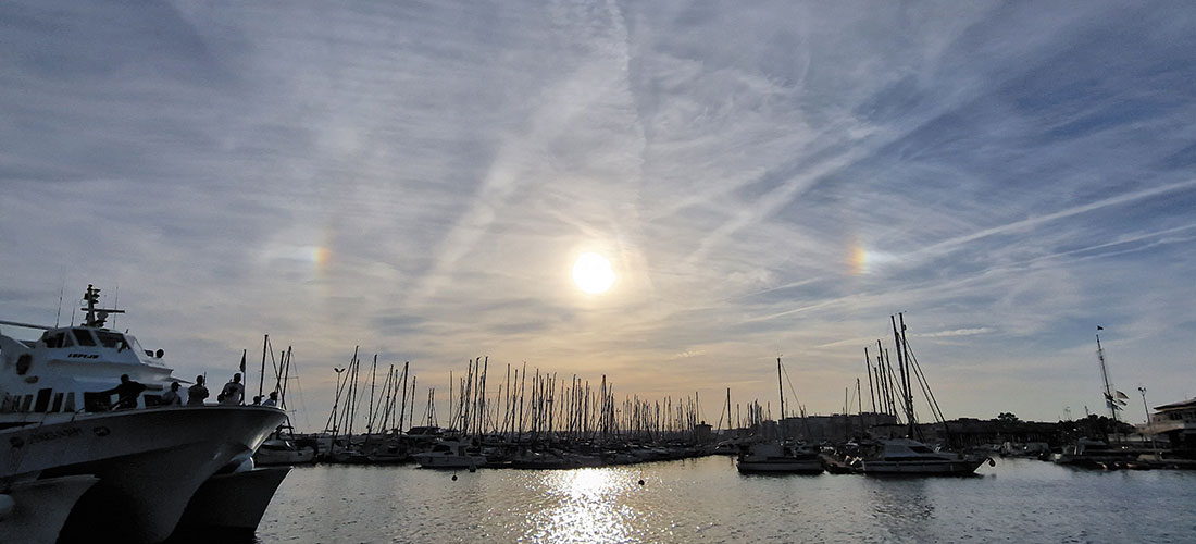 Datos registrados del 9 al 15 de octubre