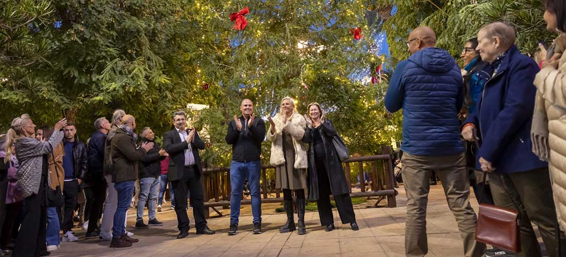 Ya luce el gran abeto de la comunidad nórdica en la Plaza de la Constitución