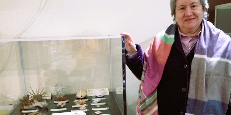 va3345-donacion El Museo de Historia Natural recibe una donación de fósiles y publicaciones del paleontólogo Daniel Jiménez de Cisneros