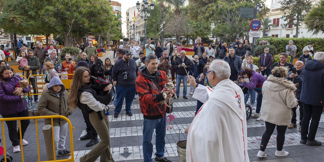 Bendición de animales por San Antón