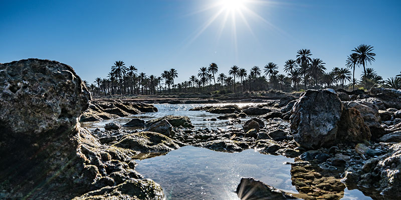 Datos registrados del 12 al 18 de febrero