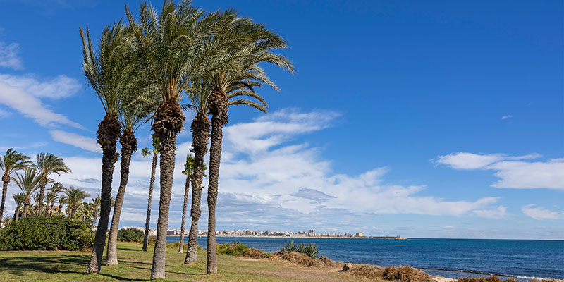 Datos registrados del 19 al 25 de febrero