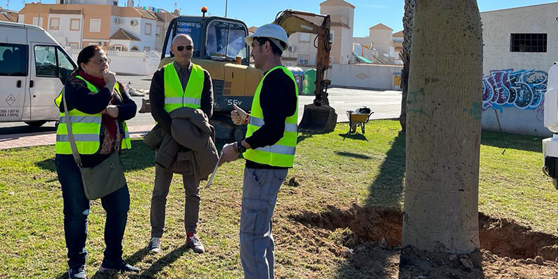 Veinticuatro árboles que rodean el Parque de las Naciones han sido trasplantados junto a la Vía Verde