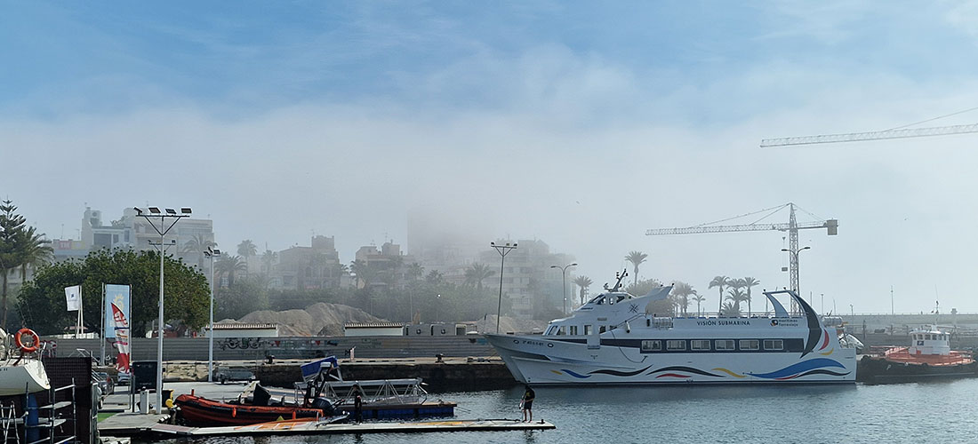 Datos registrados del 11 al 17 de marzo