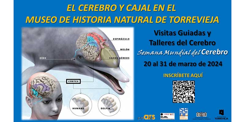 Ars Creatio organiza la segunda edición de ‘El cerebro y Cajal en el Museo de Historia Natural’