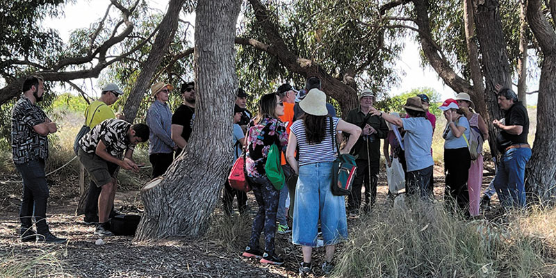 La ruta de Ars Creatio  por unos viñedos singulares