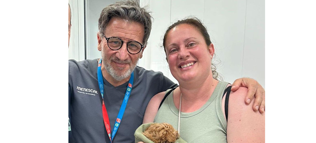 El perro Juanito volverá  a caminar gracias a  la solidaridad de muchos torrevejenses